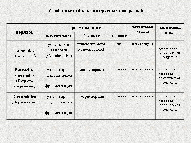 Особенности биологии красных водорослей